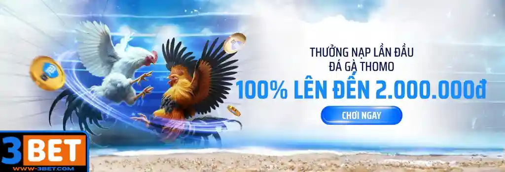 Khuyến mãi 3BET Tin tức 3BET
